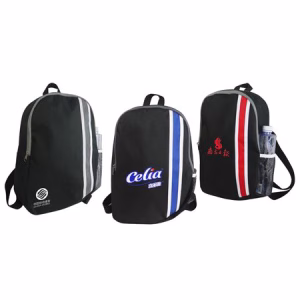 9666_bag_1