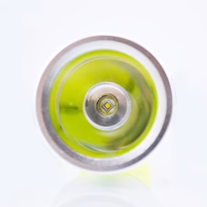 10500_LeeTorch_1
