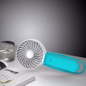 17389_Fan_1